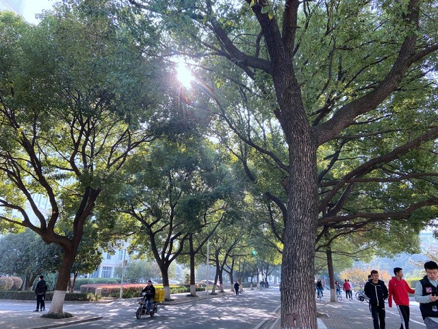 湖北成人教育